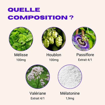 L'Incroyable Sommeil